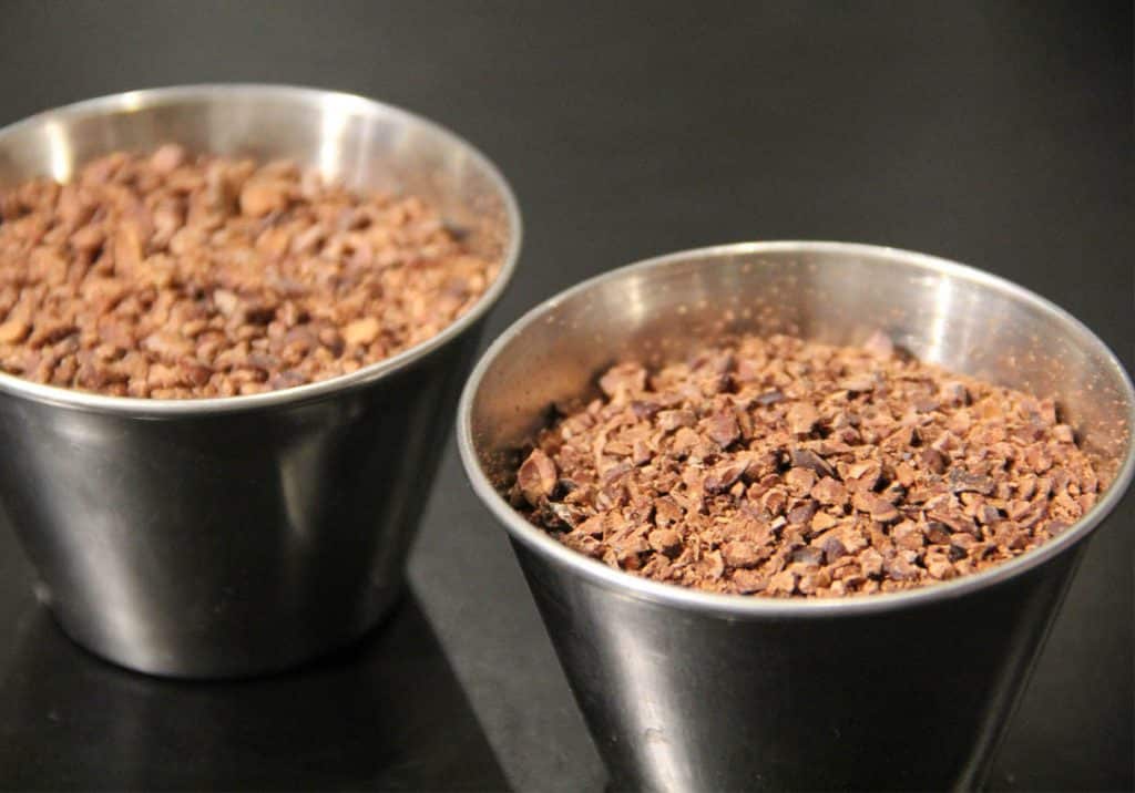 Cocoa Nibs Chocolasia Chocolate, Cocoa, Cacao, CocoaPowder