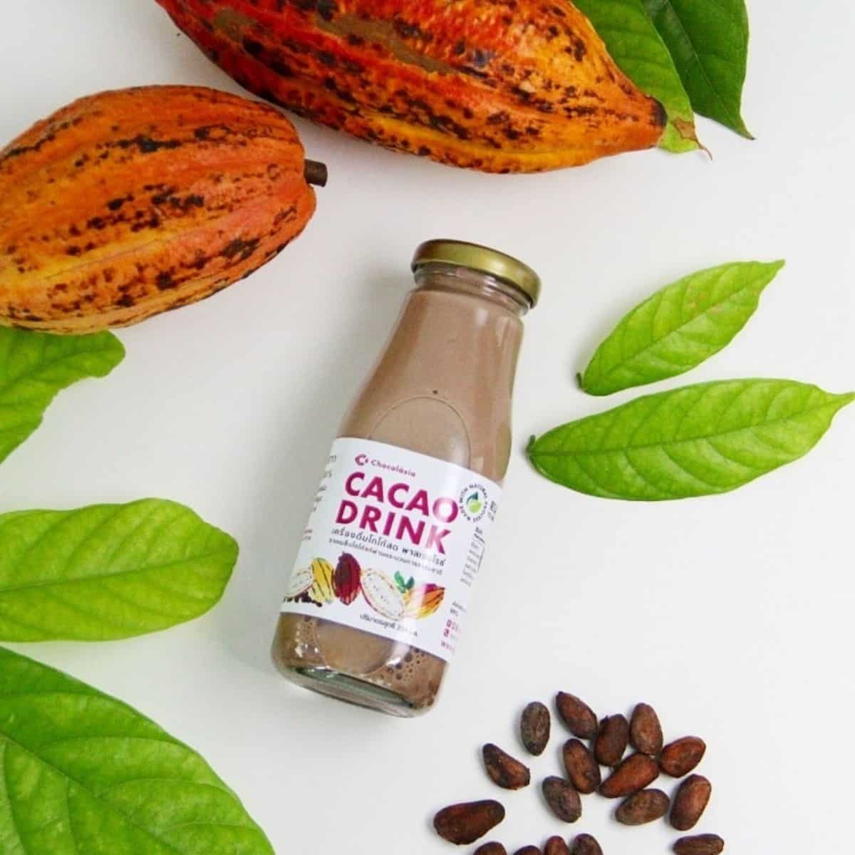 Cacao Drink เครื่องดื่มคาเคาพาสเจอร์ไรซ์ - Image 3