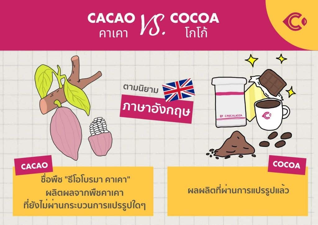 คาเคากับโกโก้ต่างกันยังไง อังกฤษ